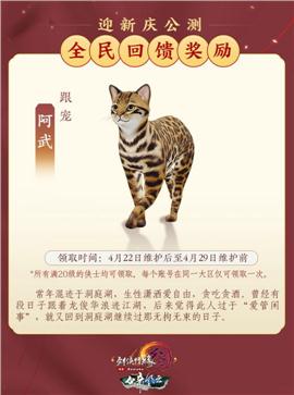天龙八部私服装备栏边框